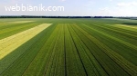 Купувам ЗЕМЕДЕЛСКА ЗЕМЯ всички землища в Община Минерални Ба